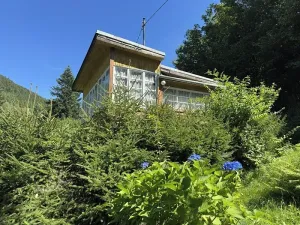 Prodej chaty, Ostravice, 55 m2