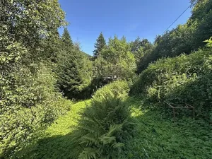 Prodej chaty, Ostravice, 55 m2