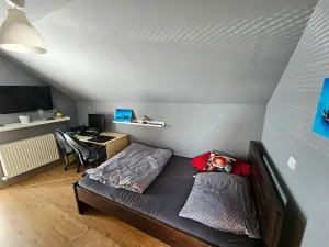Prodej rodinného domu, Vyskytná nad Jihlavou, 200 m2