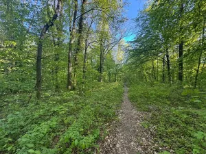 Prodej pozemku, Kutná Hora, Kouřimská, 1441 m2
