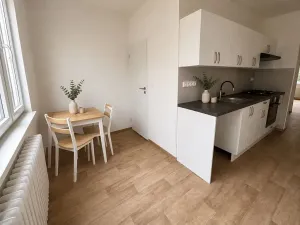 Pronájem bytu 3+1, Litvínov, Čapkova, 83 m2