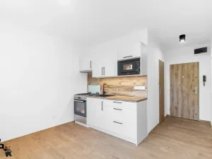 Prodej bytu 1+1, Frýdek-Místek, J. E. Purkyně, 35 m2