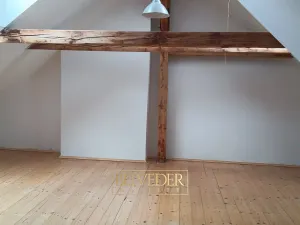 Pronájem bytu 2+1, Teplice, Polská, 110 m2