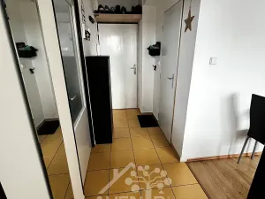 Pronájem bytu 3+kk, Praha - Strašnice, Přetlucká, 42 m2