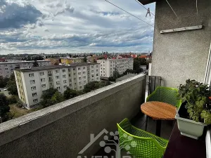 Pronájem bytu 3+kk, Praha - Strašnice, Přetlucká, 42 m2