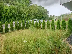 Pronájem bytu 2+kk, Kutná Hora, Plk. Loudy, 47 m2