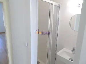 Pronájem bytu 1+1, Praha - Žižkov, Vlkova, 35 m2