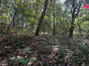 Prodej pole, Úštěk, 8460 m2