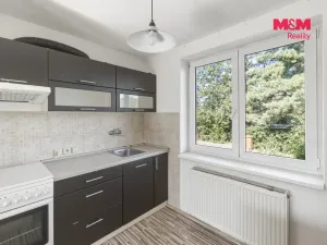 Pronájem rodinného domu, Dolní Beřkovice, Dolní hájek, 100 m2