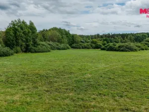 Prodej louky, Jestřebí, 14822 m2