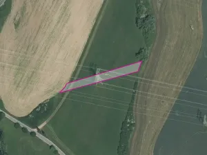 Prodej pole, Dnešice, 6794 m2