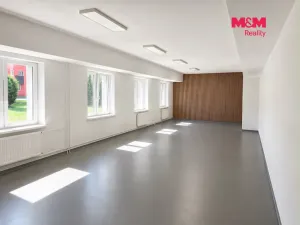 Pronájem obchodního prostoru, Opava, Rybářská, 181 m2
