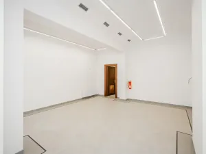 Pronájem obchodního prostoru, Praha - Nové Město, Petrská, 96 m2