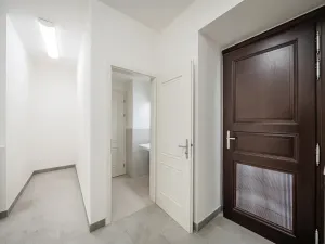 Pronájem obchodního prostoru, Praha - Nové Město, Petrská, 96 m2