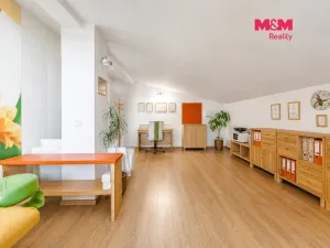 Prodej obchodního prostoru, Letohrad, Petříkov, 1200 m2
