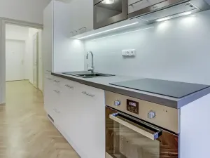Pronájem bytu 1+kk, Praha, Myslíkova, 42 m2