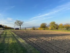Prodej sadu/vinice, Blučina, 2677 m2