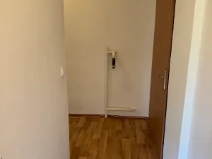 Prodej bytu 1+1, Brno, Dobrovského, 40 m2