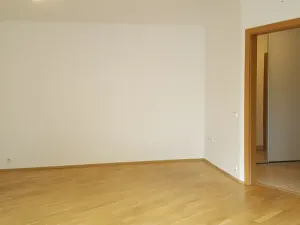 Pronájem bytu 2+kk, Praha - Podolí, Nedvědovo náměstí, 51 m2