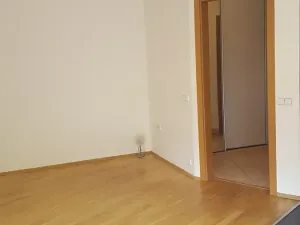 Pronájem bytu 2+kk, Praha - Podolí, Nedvědovo náměstí, 51 m2