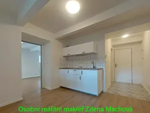 Pronájem kanceláře, Praha - Krč, U krčského nádraží, 52 m2