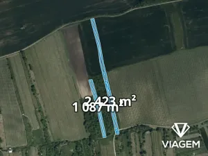 Prodej podílu zahrady, Bzenec, 1284 m2