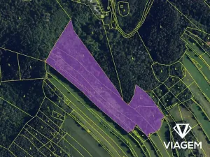 Prodej podílu lesa, Kuřimská Nová Ves, 25162 m2