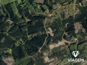 Prodej podílu pole, Bratřejov, 1077 m2