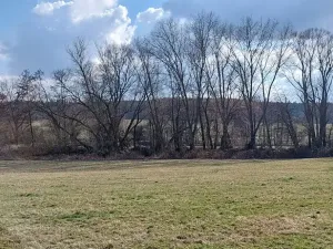 Prodej podílu louky, Podluhy, 1240 m2