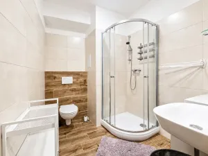 Pronájem bytu 2+1, Brno, Francouzská, 44 m2