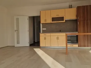 Pronájem bytu 1+kk, Plzeň, Sladová, 42 m2
