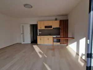 Pronájem bytu 1+kk, Plzeň, Sladová, 42 m2