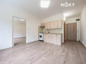 Pronájem bytu 1+1, Žatec, Volyňských Čechů, 36 m2