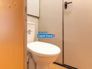 Pronájem bytu 1+1, Olomouc, Foerstrova, 43 m2