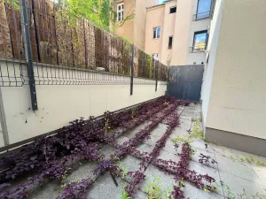Pronájem bytu 1+kk, Praha - Smíchov, Pod Barvířkou, 48 m2