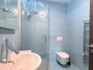 Pronájem bytu 2+kk, Brno, Vinařská, 55 m2