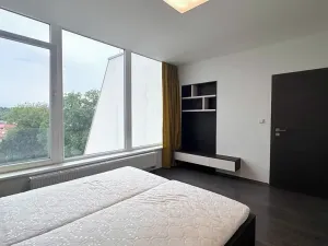 Pronájem bytu 2+kk, Brno, Vinařská, 55 m2
