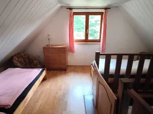 Prodej chalupy, Staré Město pod Landštejnem, 107 m2