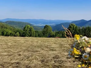 Prodej chaty, Vyškovec, 213 m2