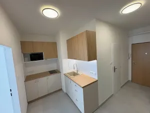 Pronájem bytu 1+kk, Praha - Vinohrady, Bruselská, 33 m2