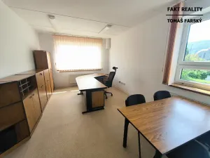 Pronájem kanceláře, Ústí nad Labem, Přístavní, 22 m2