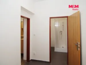 Pronájem bytu 1+kk, Ostrava - Přívoz, Chopinova, 31 m2