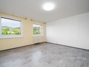 Prodej bytu 1+kk, Ústí nad Labem, Obvodová, 32 m2