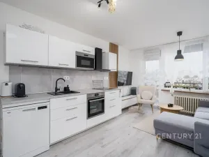 Prodej bytu 3+kk, Děčín, Oblouková, 74 m2