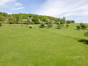 Prodej pozemku, Velká Bukovina, 6600 m2