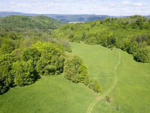 Prodej louky, Děčín, 22595 m2