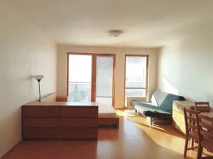 Pronájem bytu 1+kk, Praha - Krč, Panuškova, 44 m2