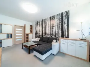 Prodej bytu 3+1, Halenkov, 70 m2