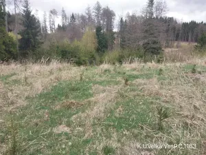Prodej lesa, Lukavec, 1810 m2