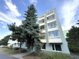 Pronájem bytu 1+1, Židlochovice, sídl. Družba, 35 m2